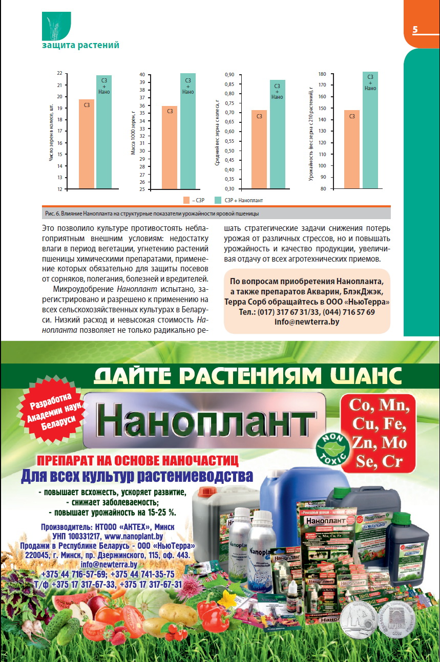 Статья