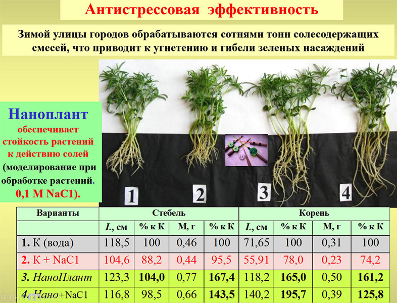 Стойкость растения к действию солей