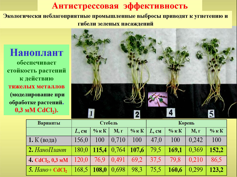 Стойкость растения к действию солей