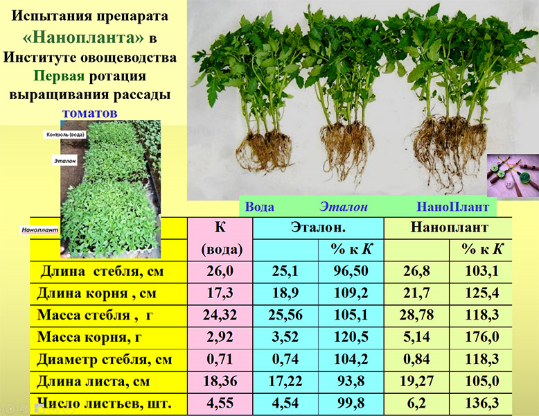 Стойкость растения к действию солей
